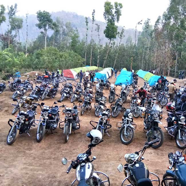 camping gears rental x dog trekking